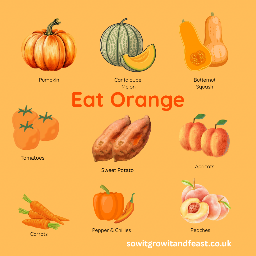 Eat Orange.
Pumpkin, Melon, Butternut Squash, Tomatoes, Sweet Potato, Apricots, Carrots, Pepper, Chillies, Peaches