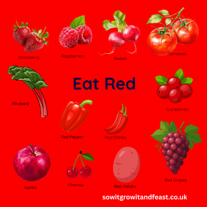 East Red. Various Images of Red Fruit and Vegetables