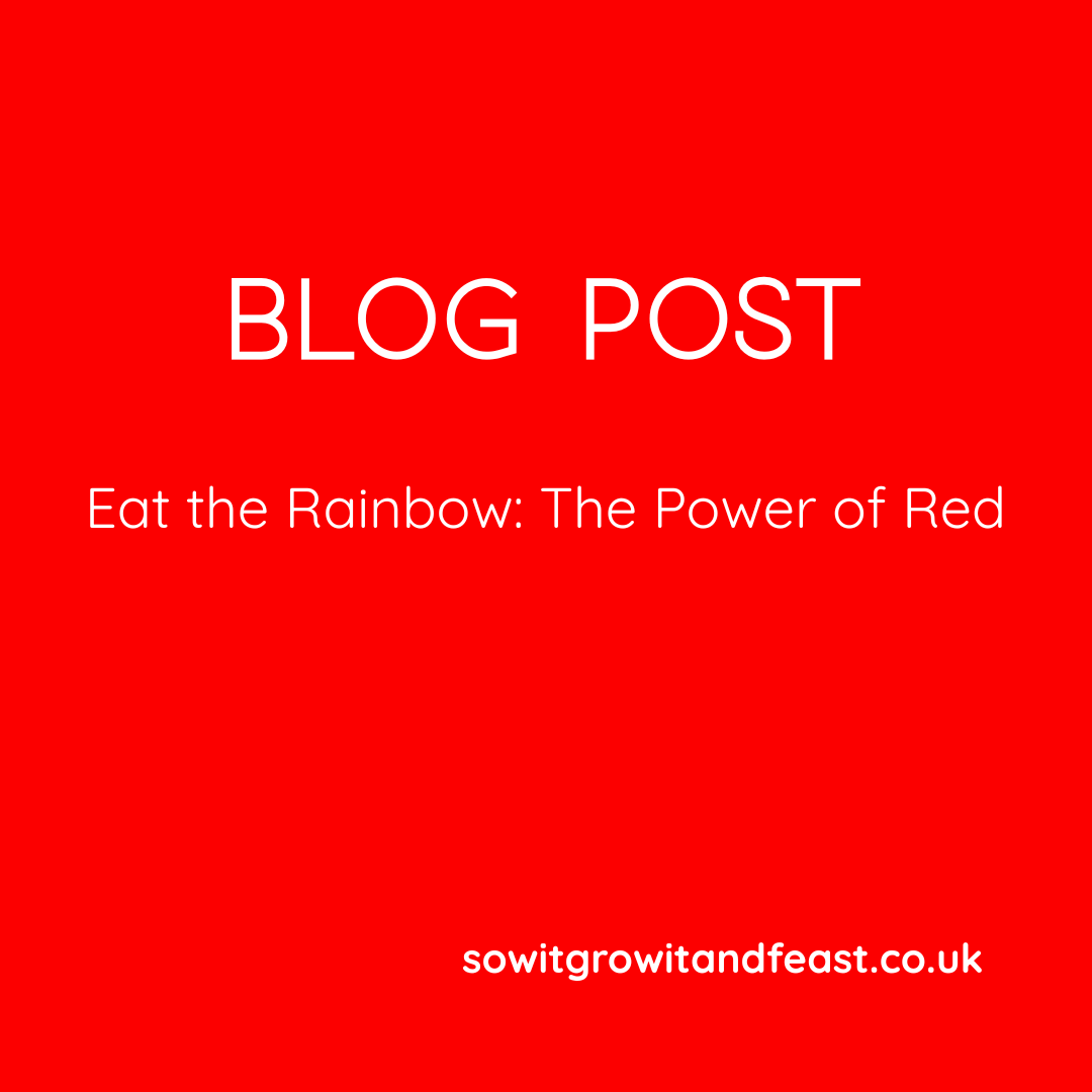 Blog Post. East the Rainbow. The Power of Red