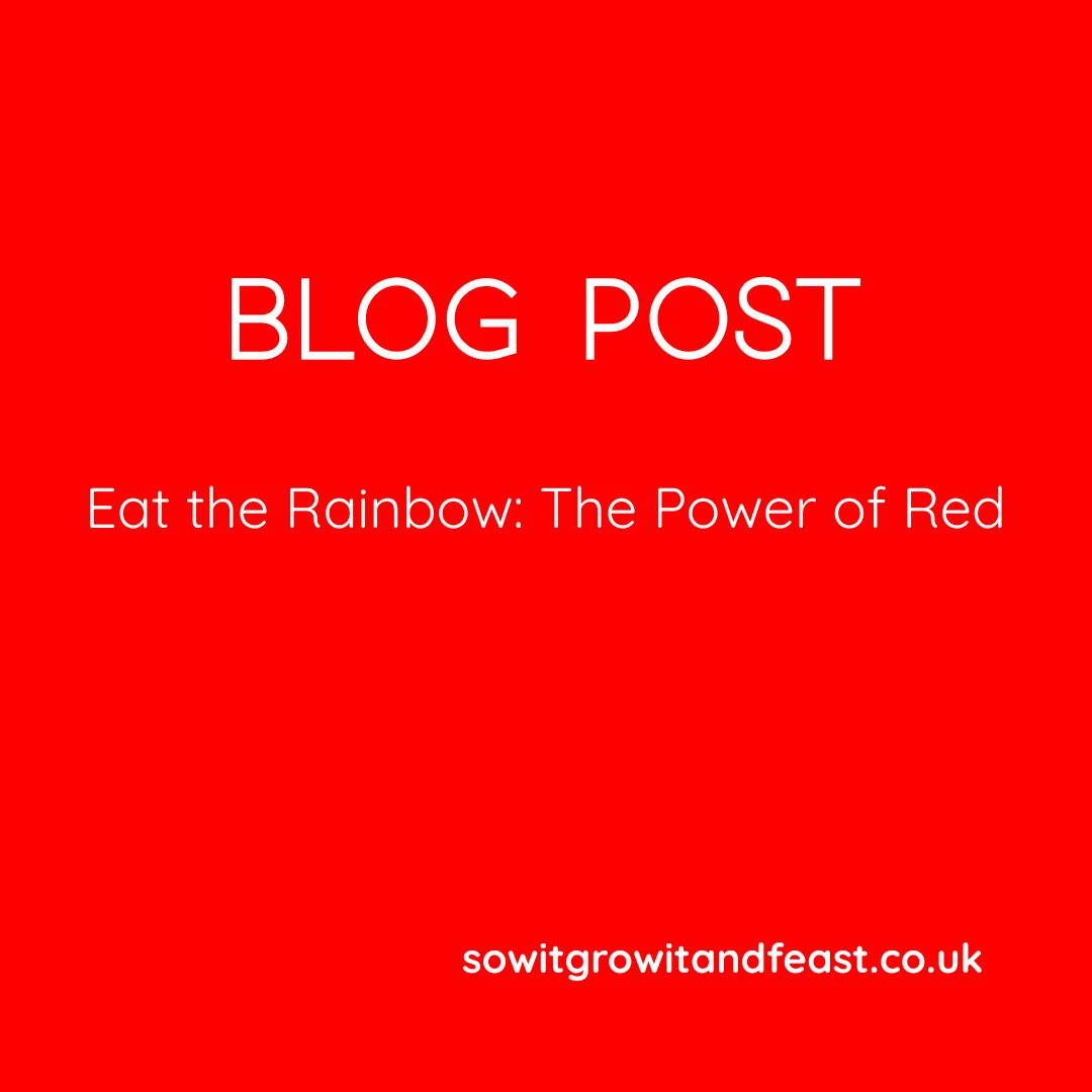 Blog Post. East the Rainbow. The Power of Red