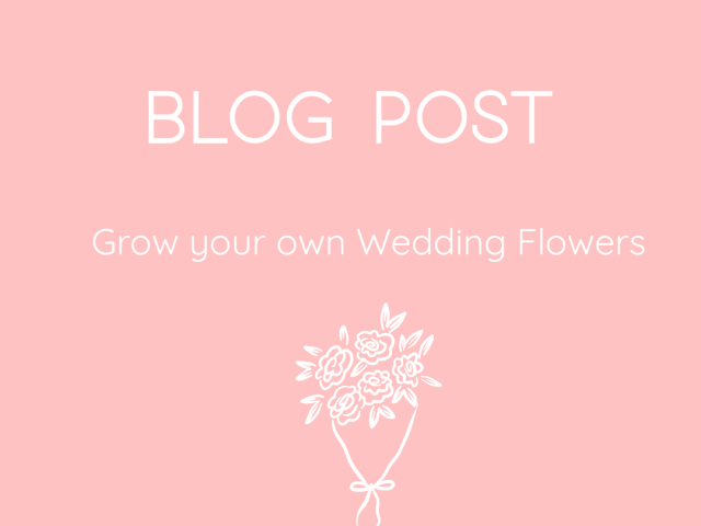 Grow your own Wedding Flowers