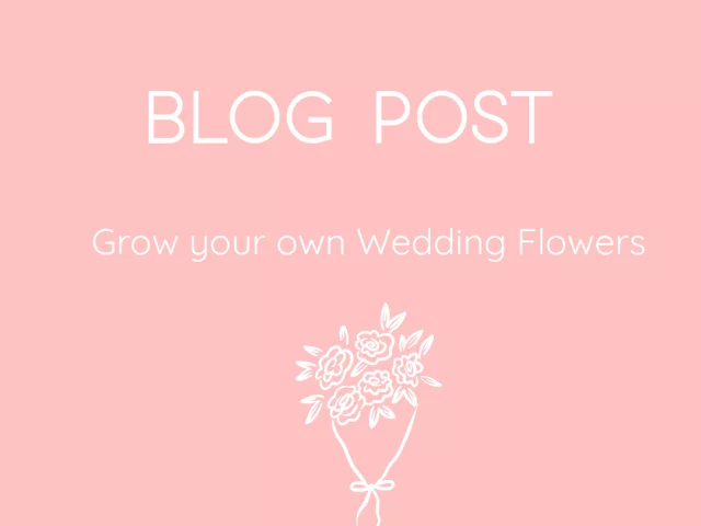 Grow your own Wedding Flowers