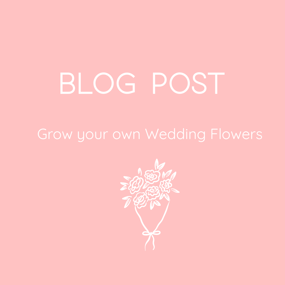 Grow your own Wedding Flowers