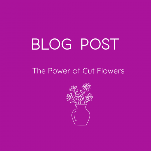 Blog Post The Power of Cut Flowers