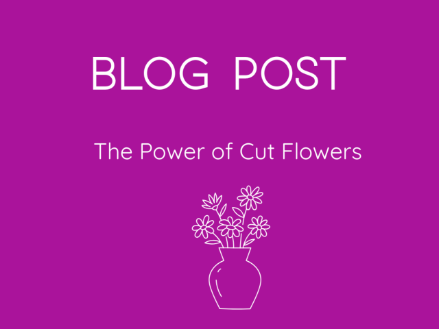 The Power of Cut Flowers 💐