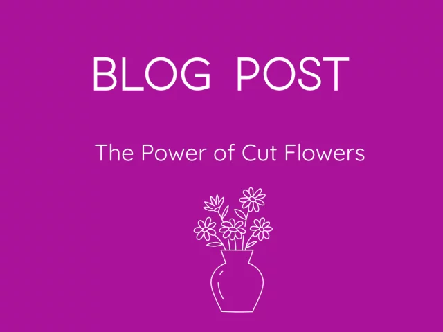 The Power of Cut Flowers 💐