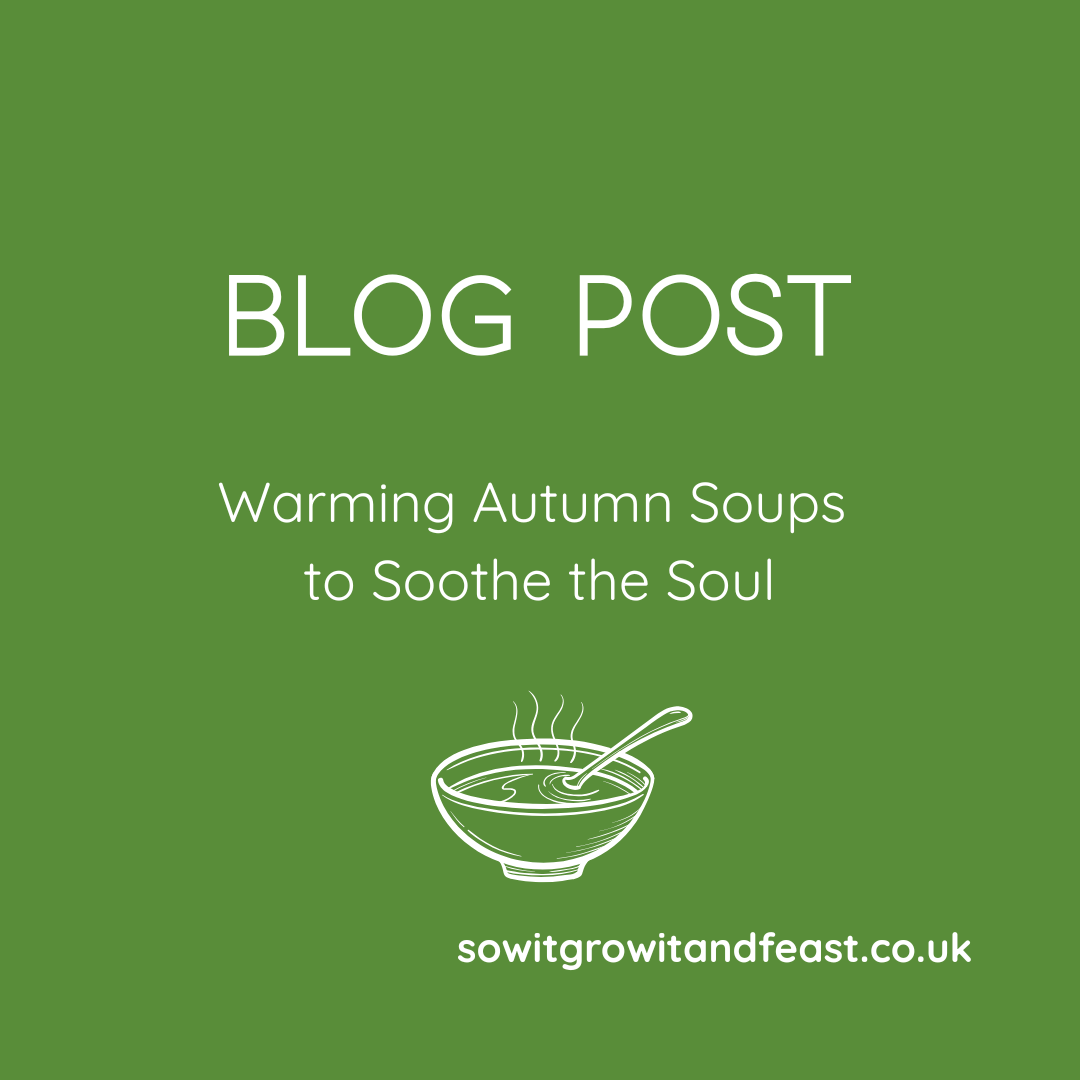 Blog Post. Warming Autumn Soups to Soothe the Soul. Bowl of Soup sowitgrowitandfeast.co.uk