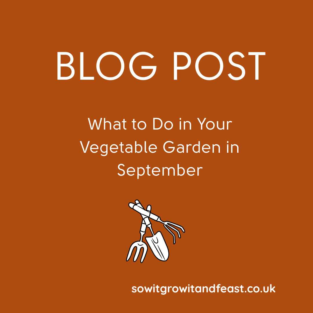 What to Do in Your Vegetable Garden in September