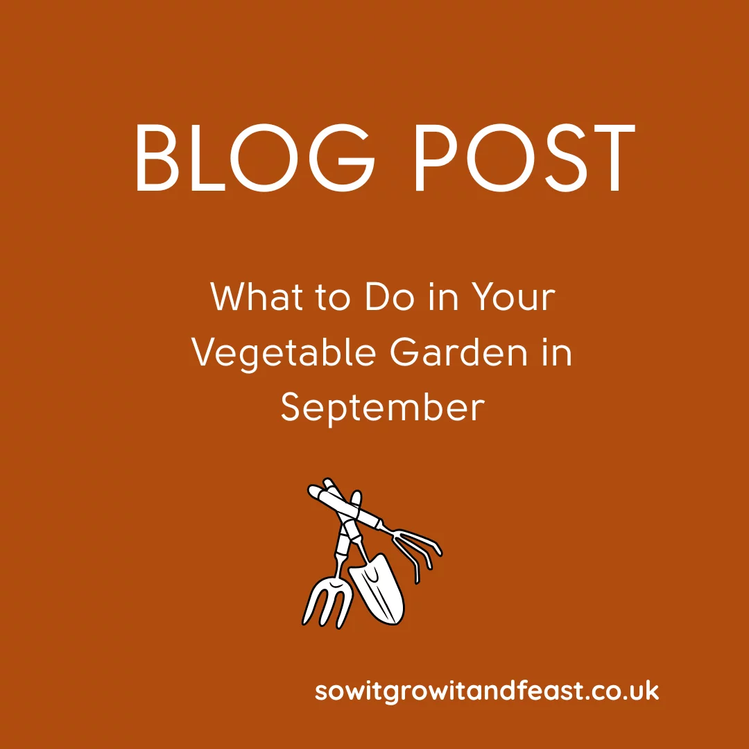 Blog Post. What to Do in Your Vegetable Garden in September