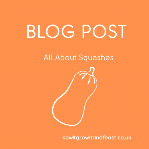 BLOG POST All About Squashes