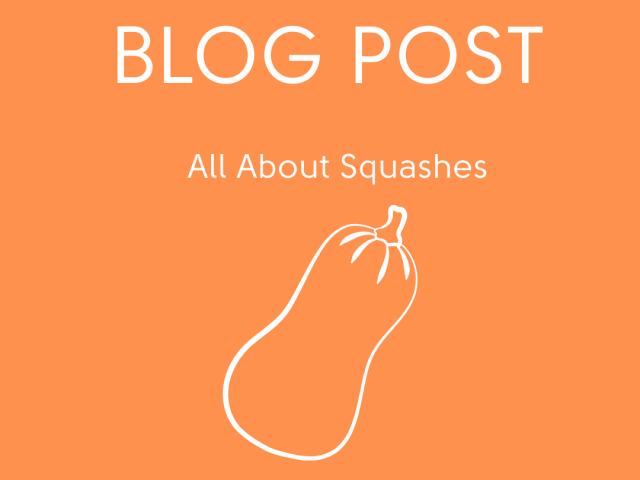 All About Squashes