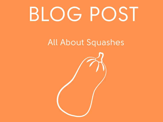 All About Squashes