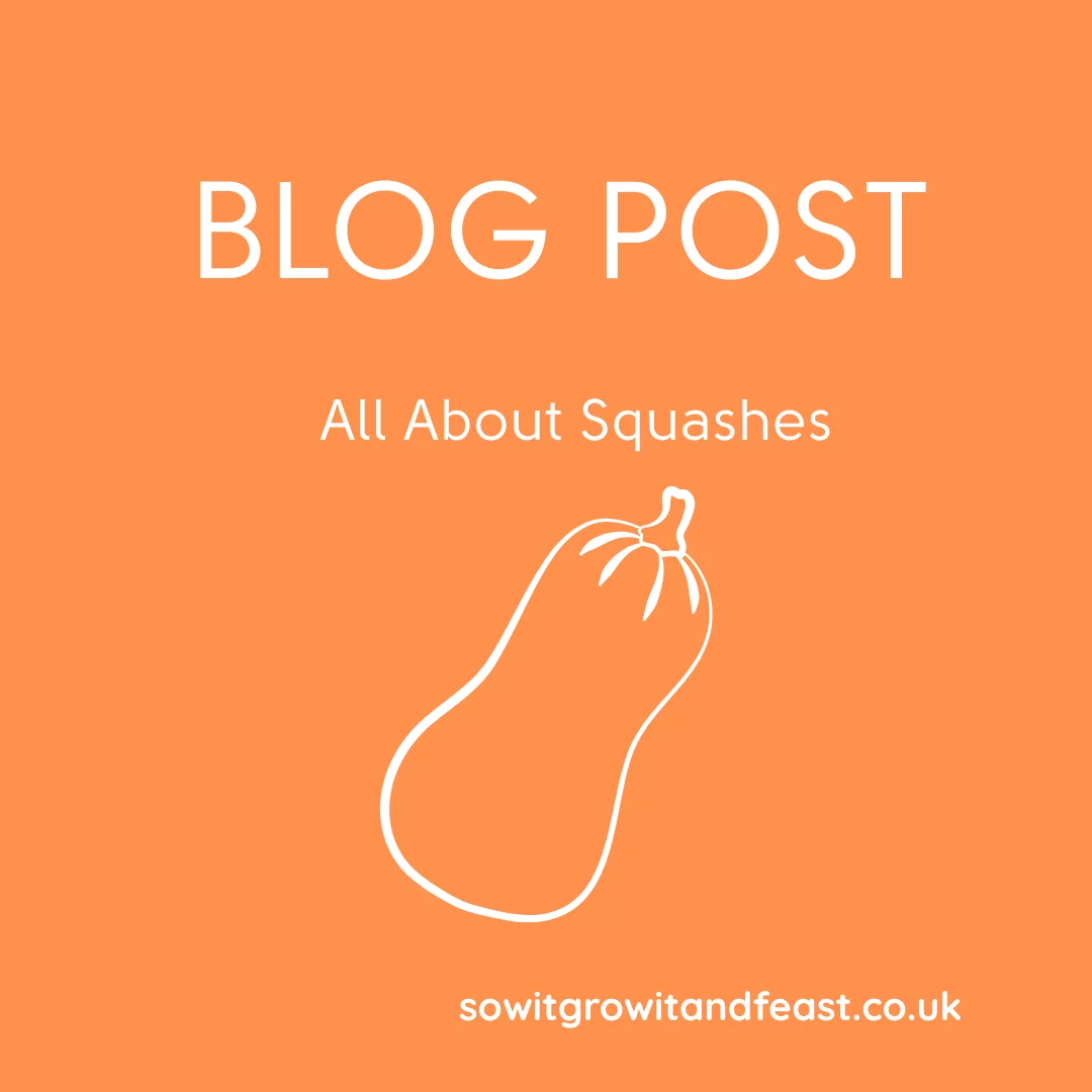 All About Squashes