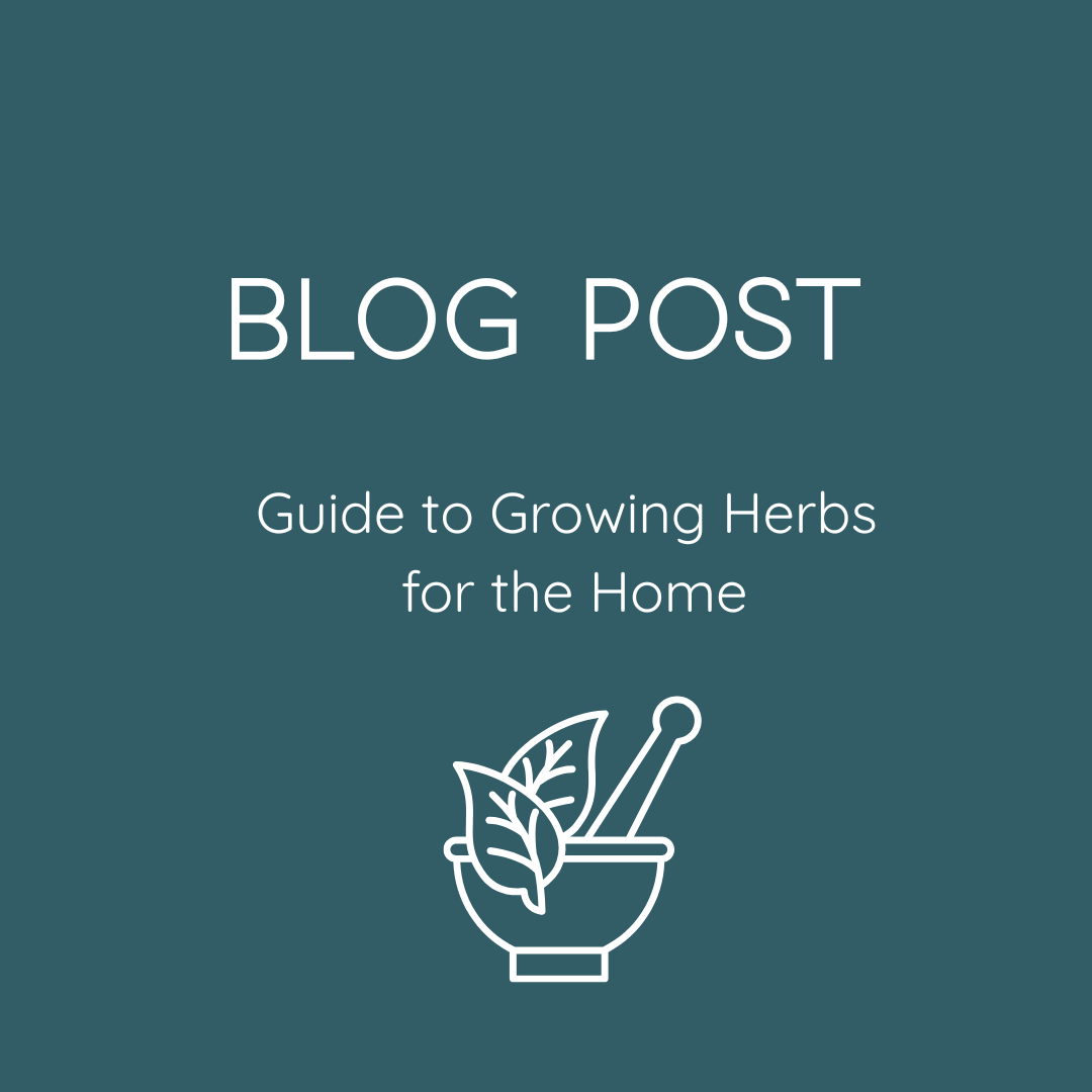 Guide to Growing Herbs for the Home