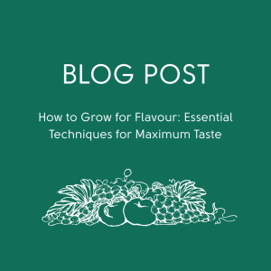 How to Grow for Flavour: Essential Techniques for Maximum Taste