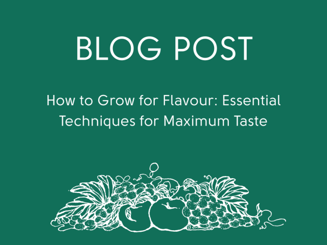 How to Grow for Flavour: Essential Techniques for Maximum Taste