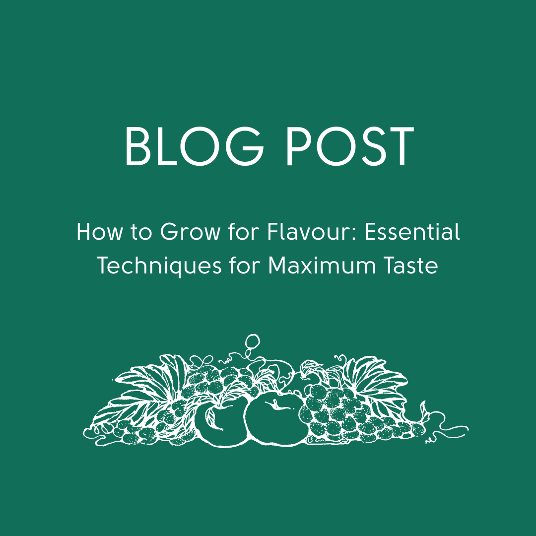 How to Grow for Flavour: Essential Techniques for Maximum Taste