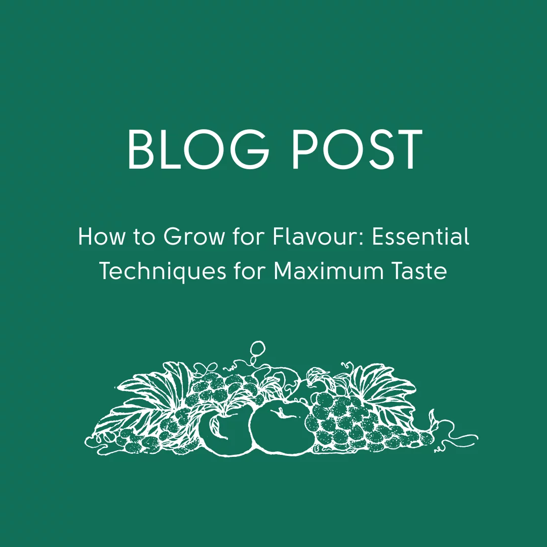 How to Grow for Flavour: Essential Techniques for Maximum Taste