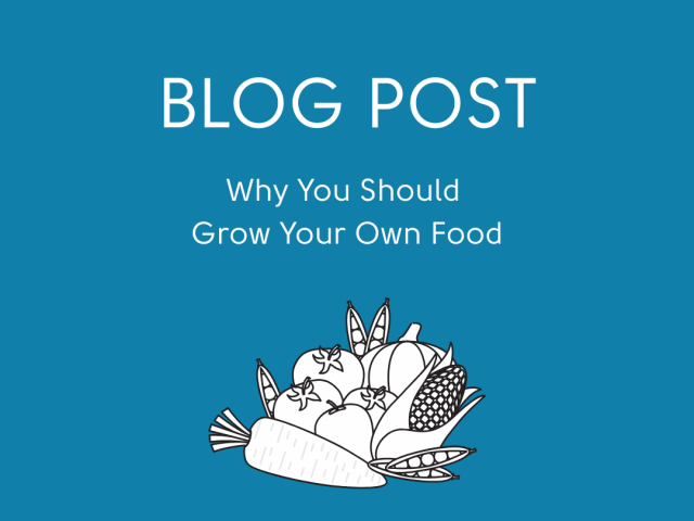 Why You Should Grow Your Own Food