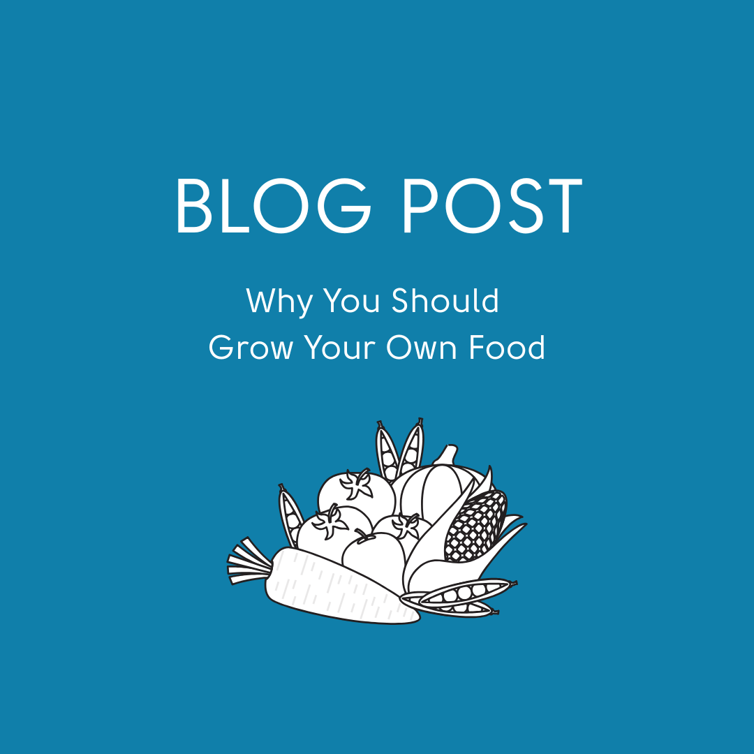 Why You Should Grow Your Own Food
