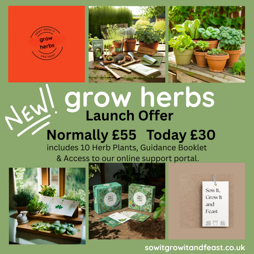 Grow Herbs
Sow It Grow It and Feast.
Launch Offer. Normally £55 Today £30.
Includes 10 herb plants, guidance booklet and access to our online support portal for one year.