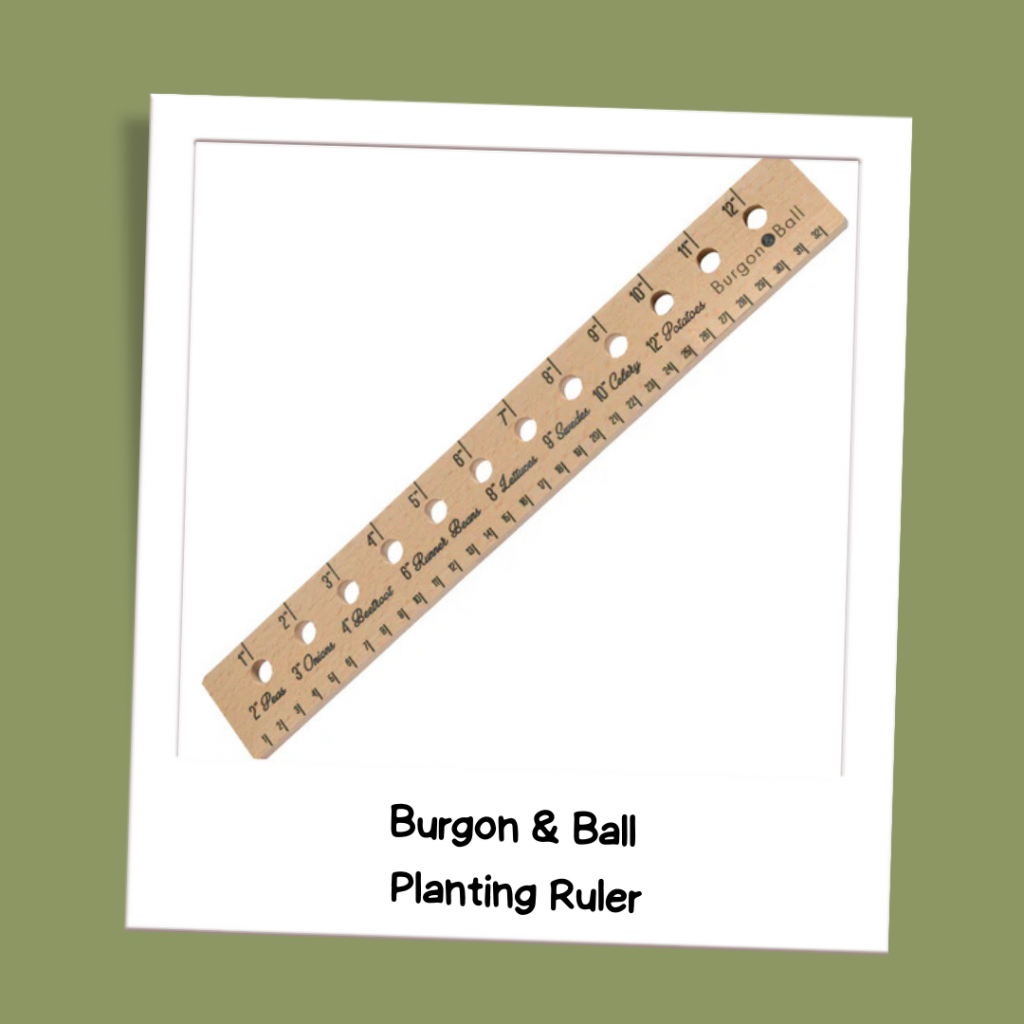 Burgon and Ball,
Planting Ruler