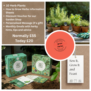Grow Herbs. 10 Herb Plants. with Pack. Normally £55 Today £20