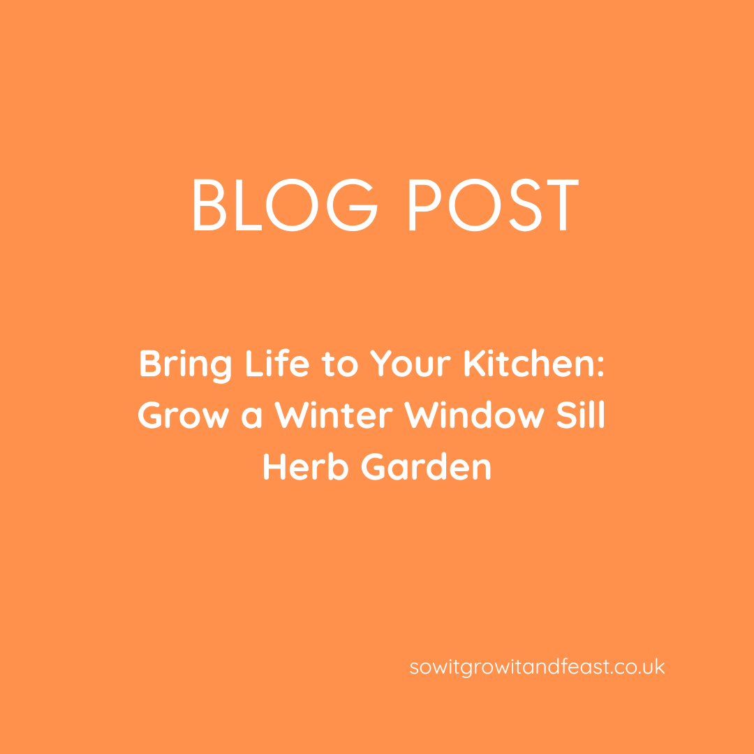 Bring Life to Your Kitchen: Grow a Winter Window Sill Herb Garden