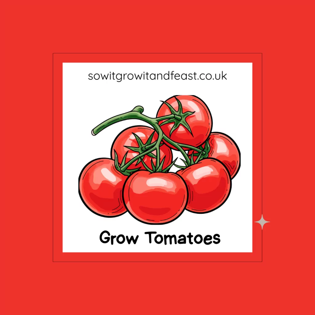 Grow Tomatoes.
Image: Bright Red Tomatoes