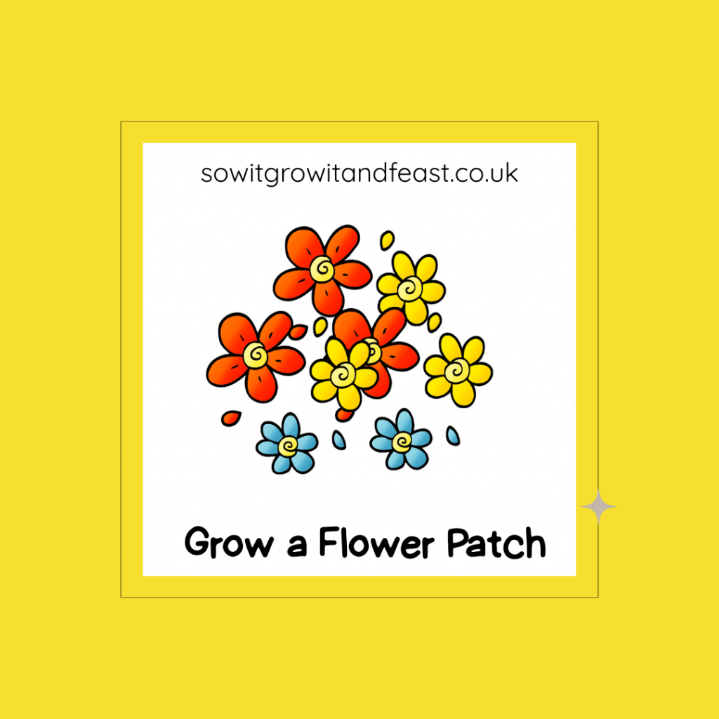 Grow a Flower Patch.
image: childlike bright coloured flowers