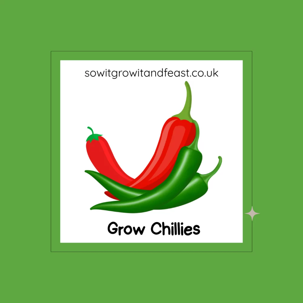 Grow Chillies.
Image:  Bright Colourful Chillies