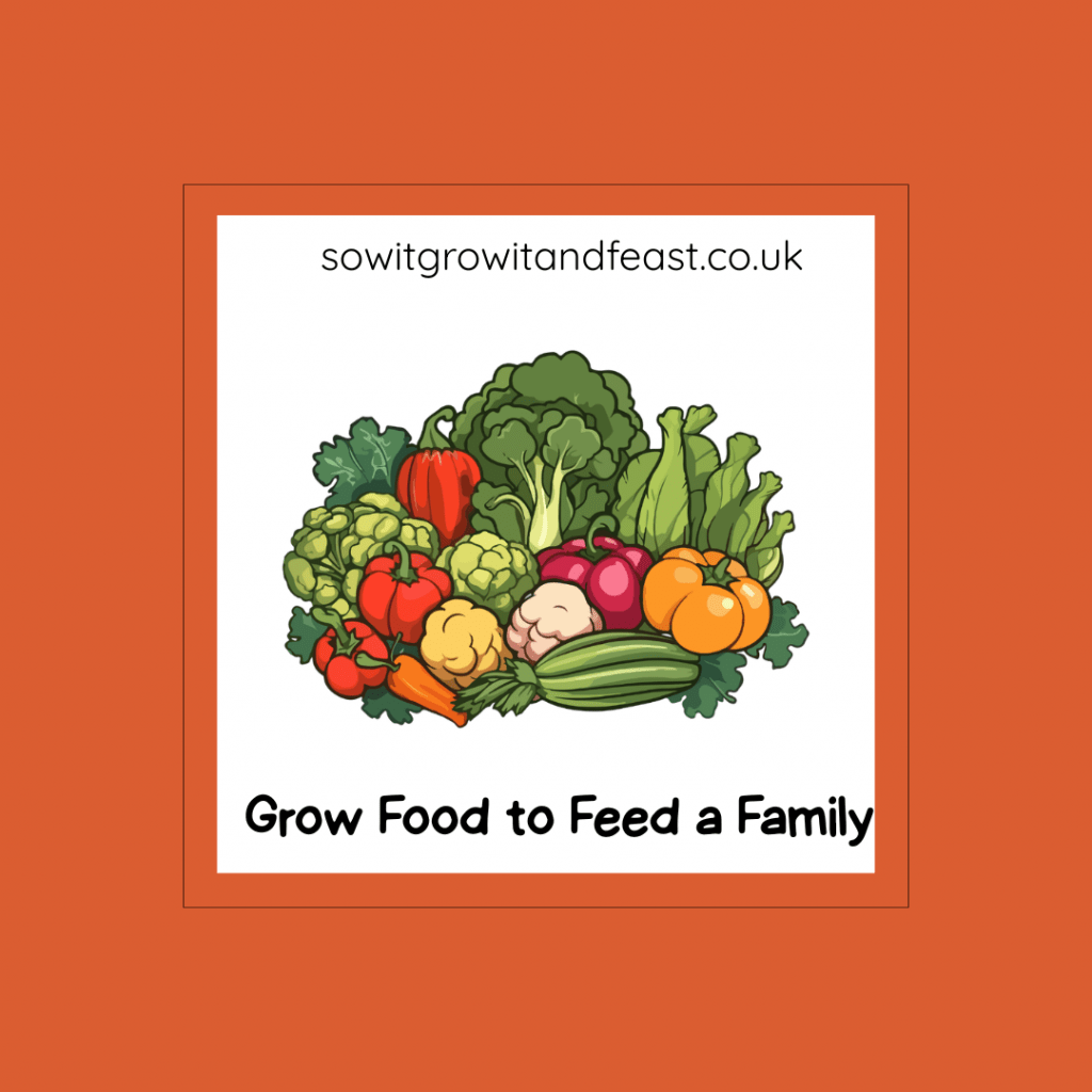 Grow Food to Feed your Family. Image: Colourful Fruit and Vegetable Harvest