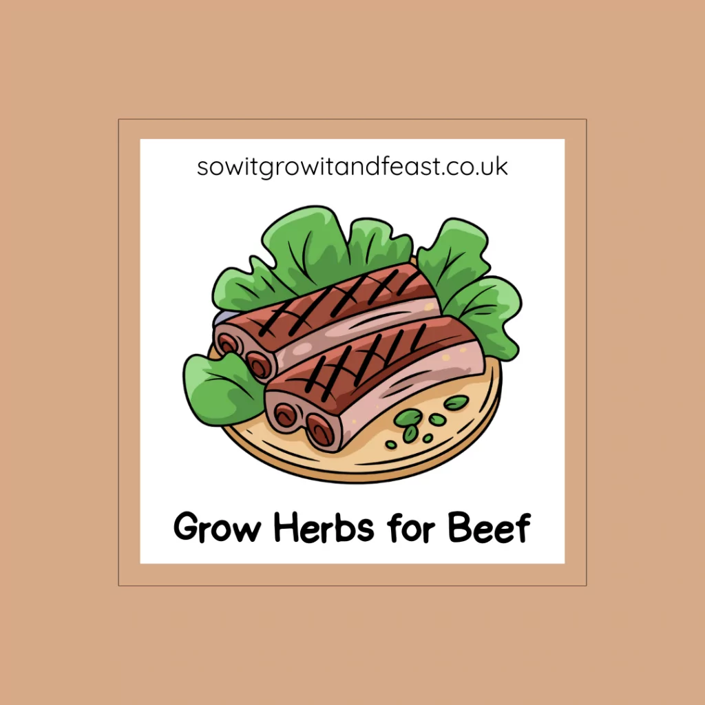 Grow Herbs for Beef Image: Herbs with Joint of Beef