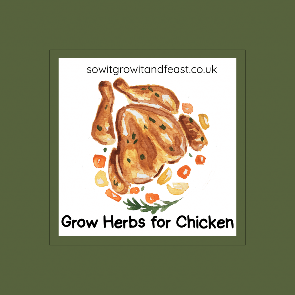 Grow Herbs for Chicken.
Image: Roast Chicken with herbs