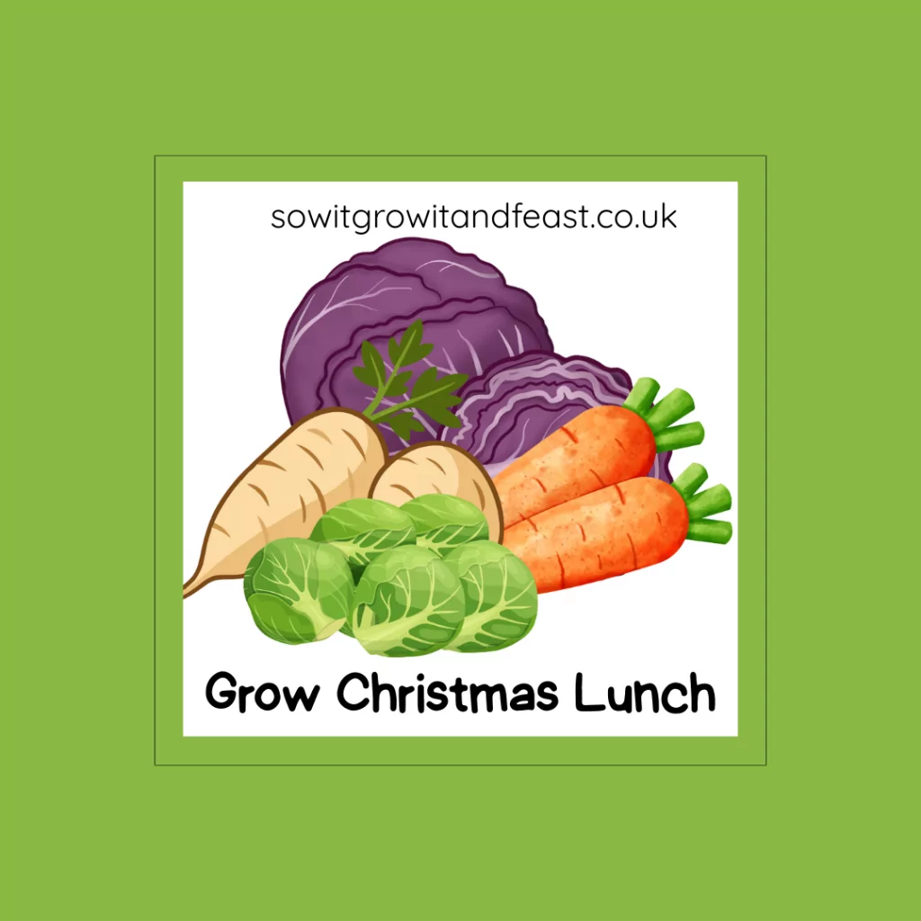 Grow Christmas Lunch.
Image:  Bright Colourful Vegetables for Christmas Lunch