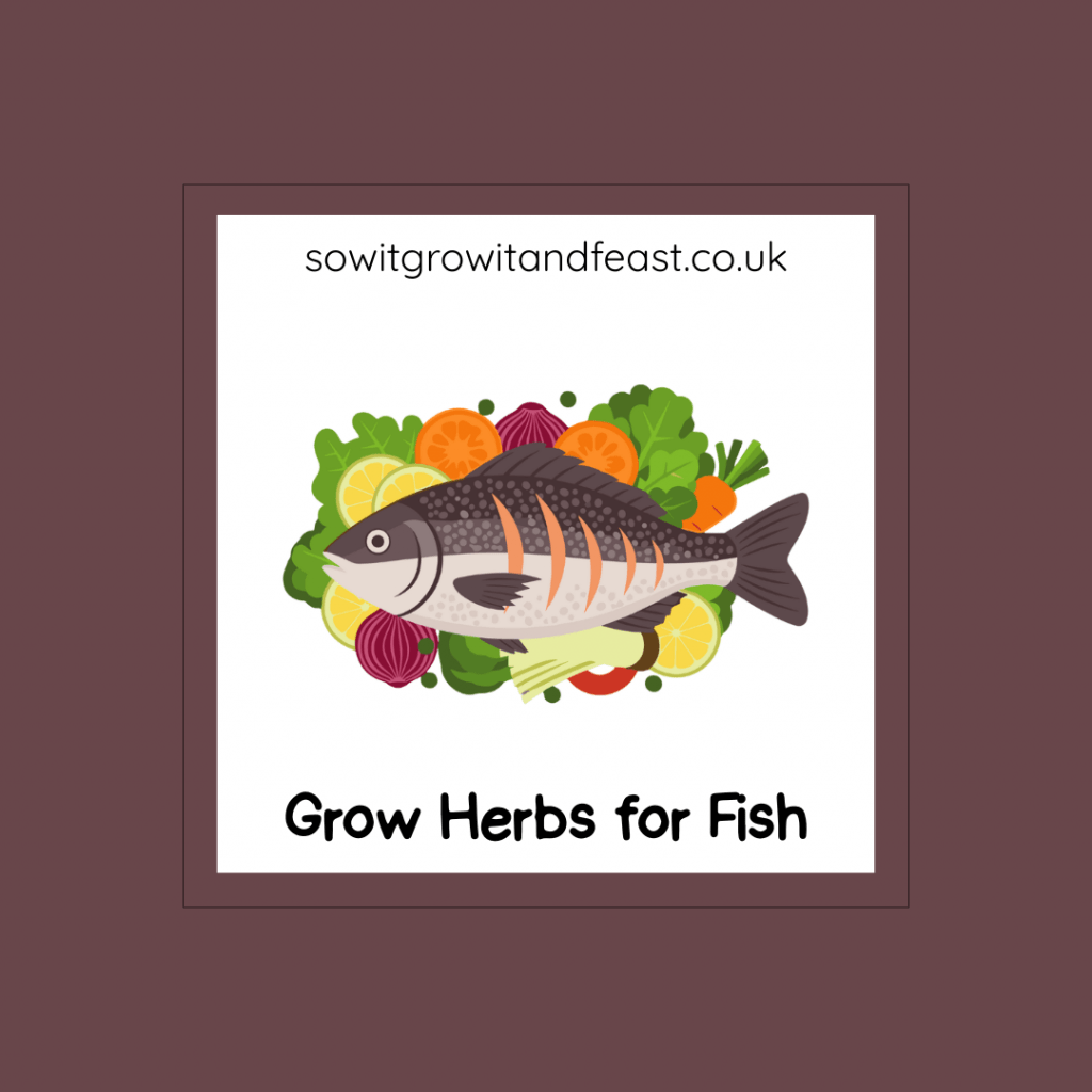 Grow Herbs for Fish.
Image: Fish with Herbs