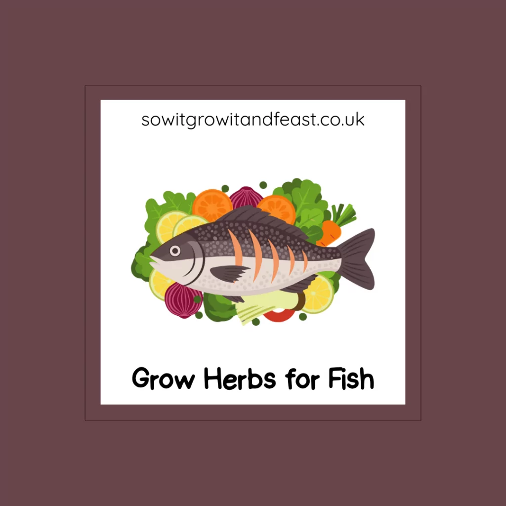 Grow Herbs for Fish.
Image: Fish with Herbs