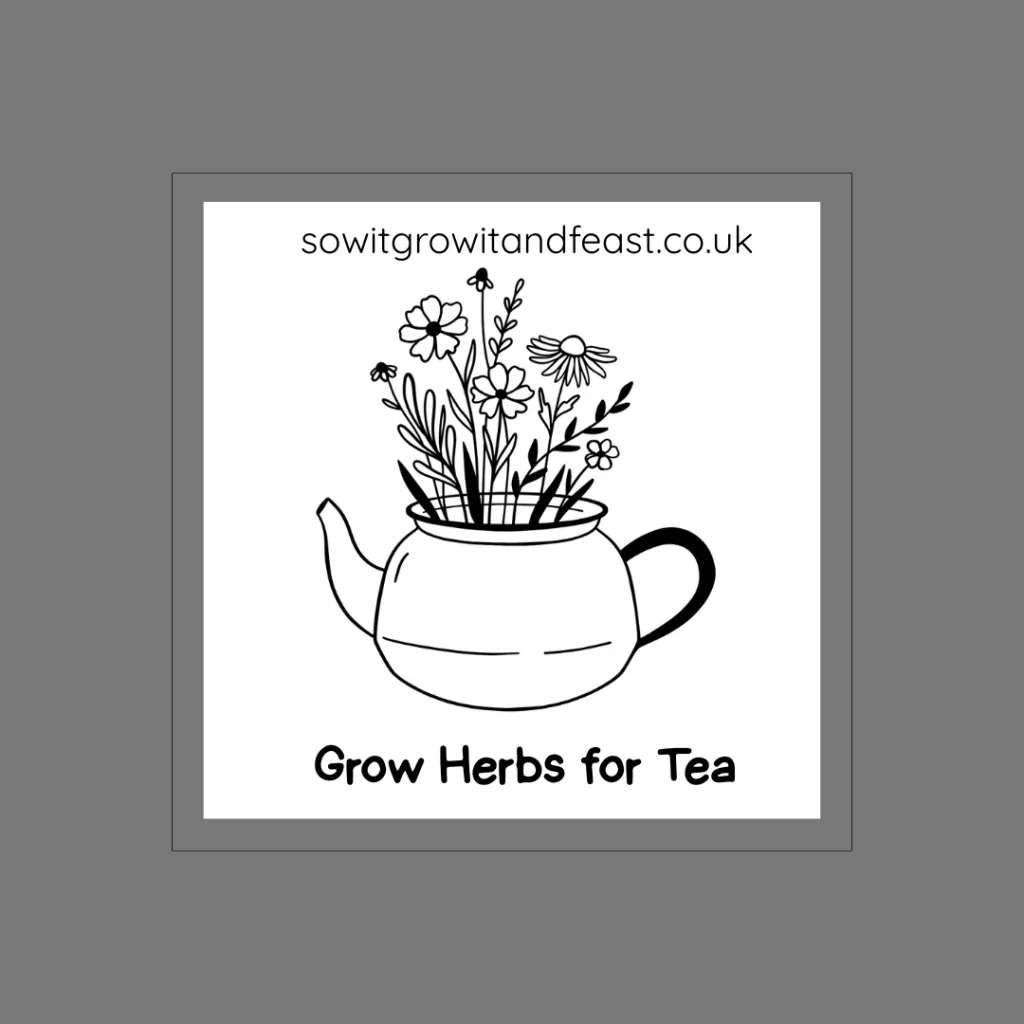 Grow Herbs for Tea. Image of Tea Pot with a Bunch of Herbs
