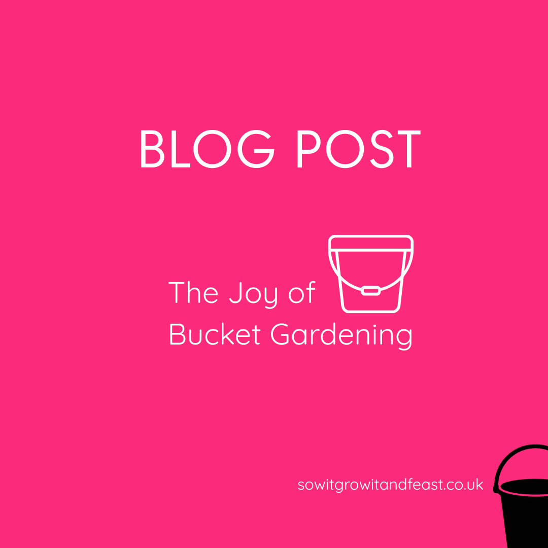 The Joy of Bucket Gardening