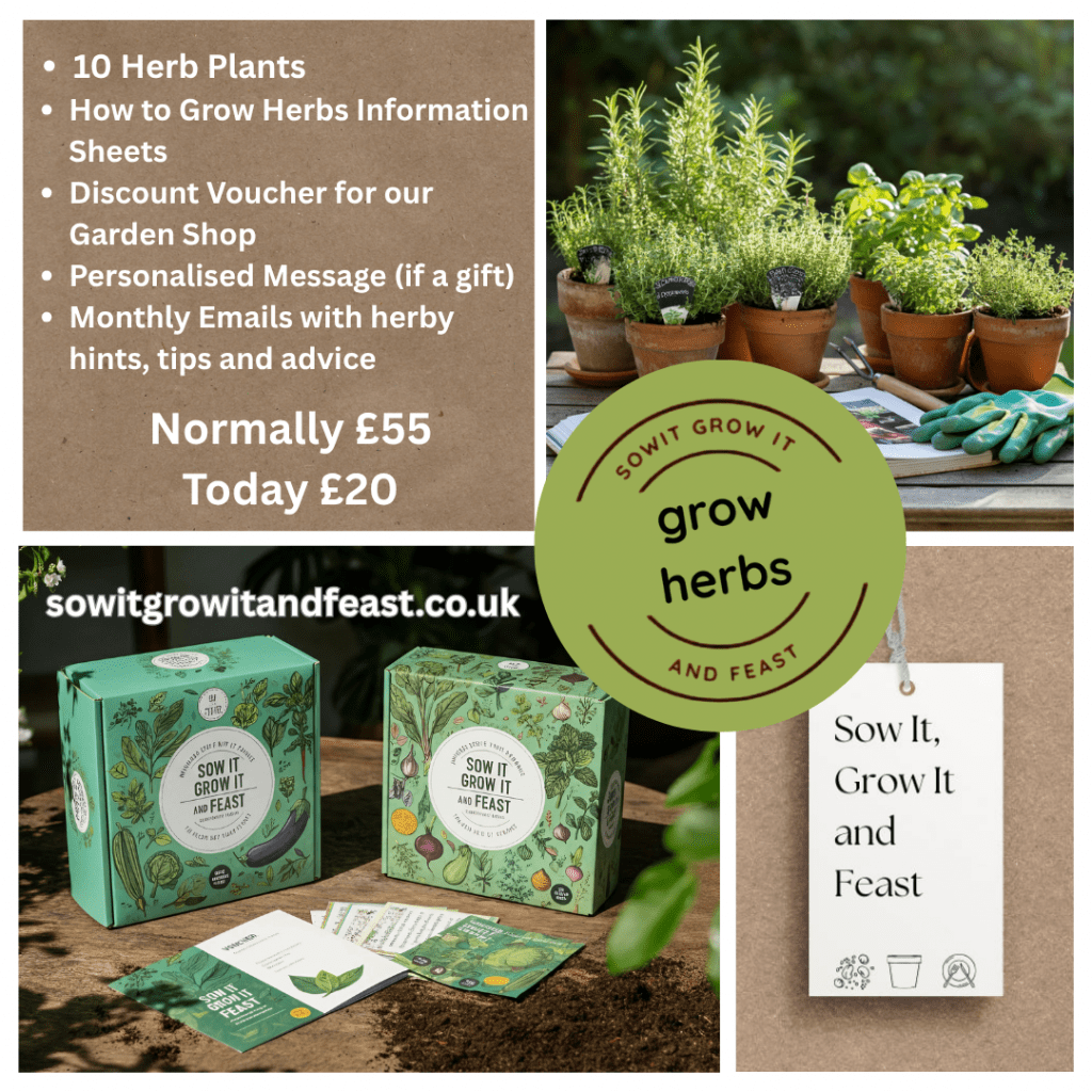 sowitgrowitandfeast.
Grow Herbs
Normally £55 Today £20
