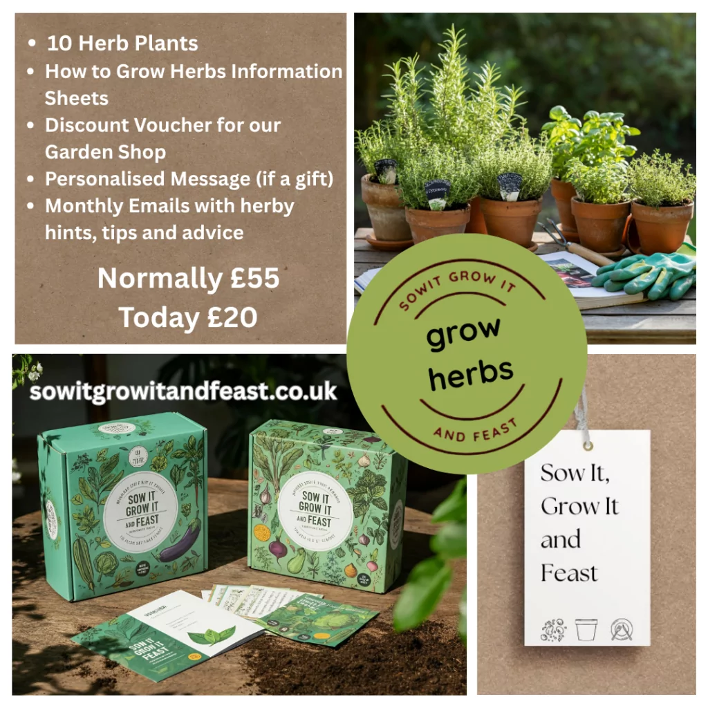 sowitgrowitandfeast.
Grow Herbs
Normally £55 Today £20