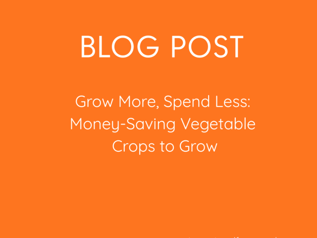 Grow More, Spend Less: Money-Saving Vegetable Crops to Grow