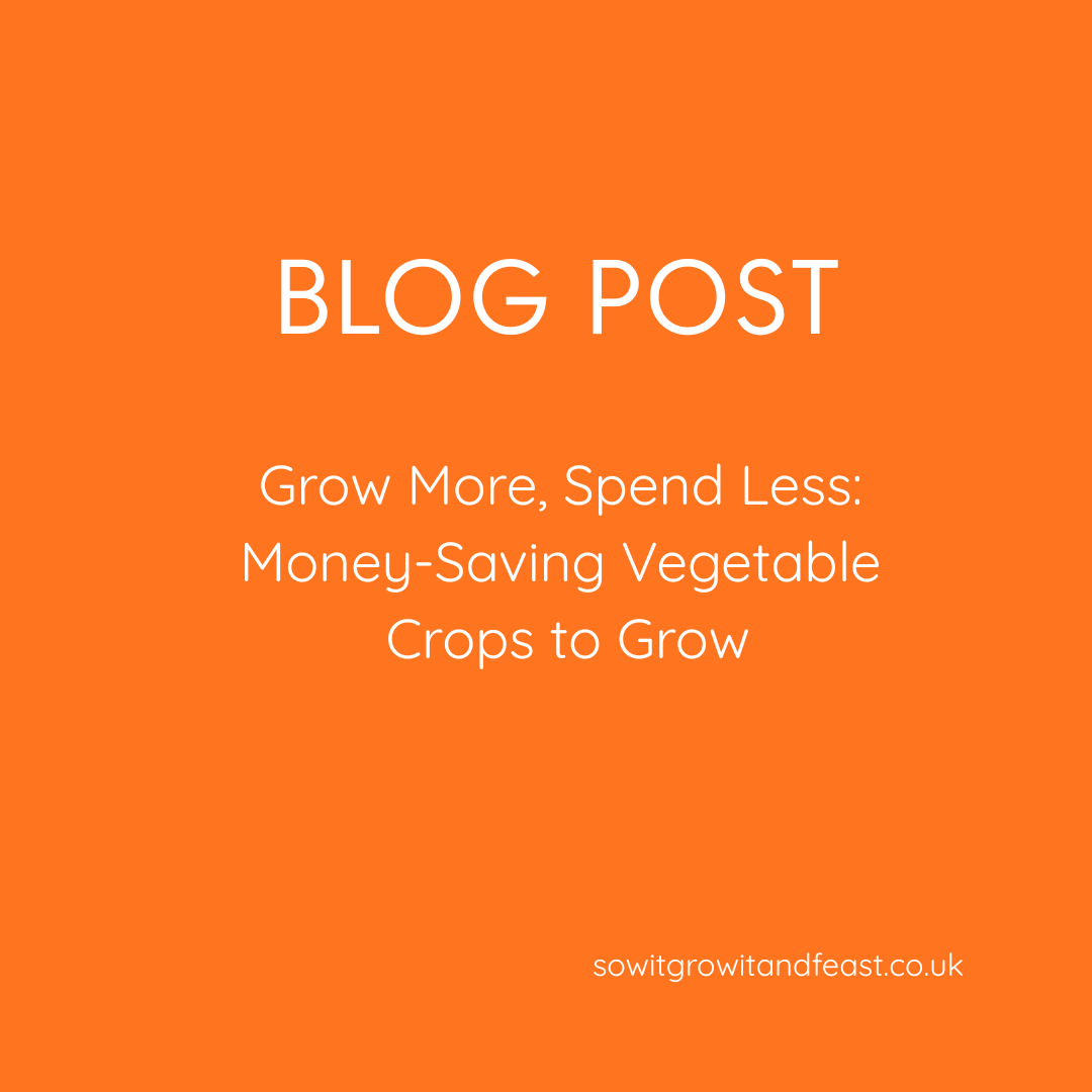 Grow More, Spend Less: Money-Saving Vegetable Crops to Grow