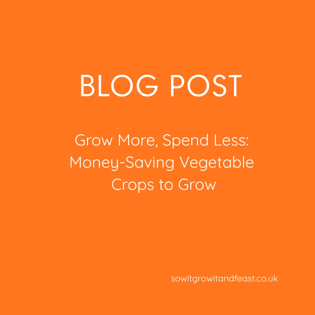 Grow More, Spend Less: Money-Saving Vegetable Crops to Grow