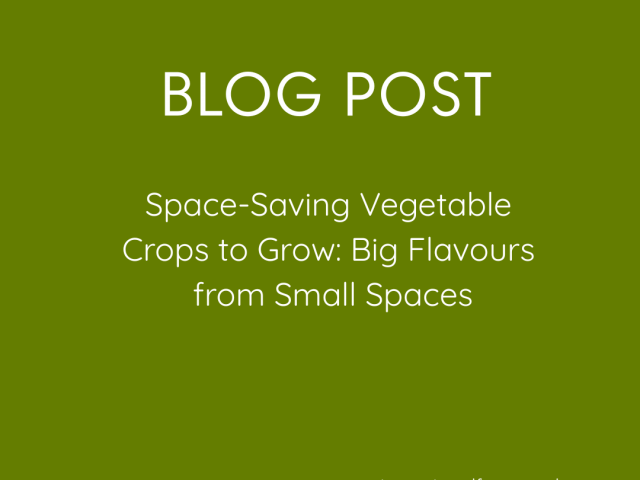 Space-Saving Vegetable Crops to Grow