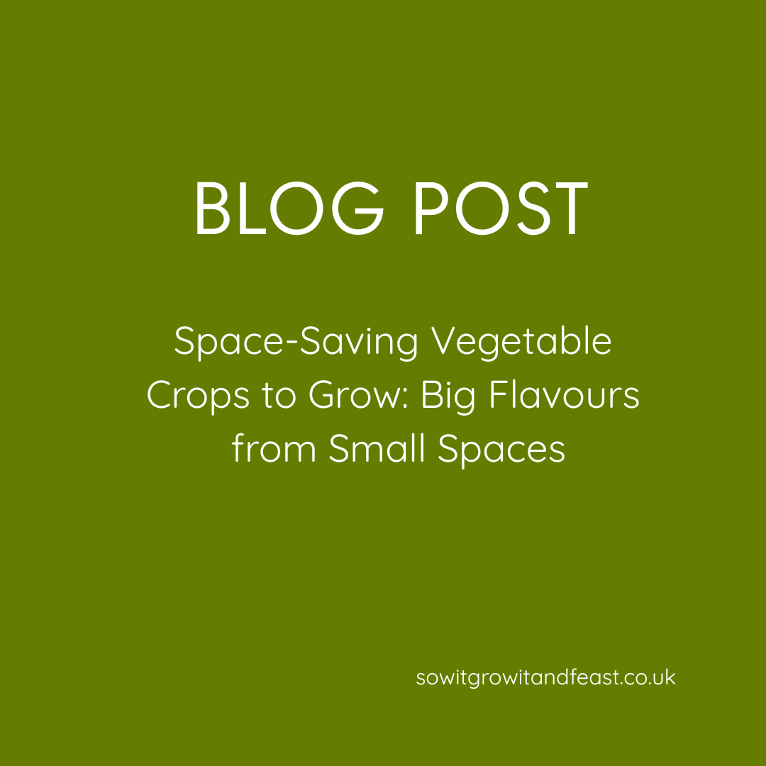 Space-Saving Vegetable Crops to Grow: Big Flavours from Small Spaces