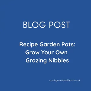 Recipe Garden Pots: Grow Your Own Grazing Nibbles
