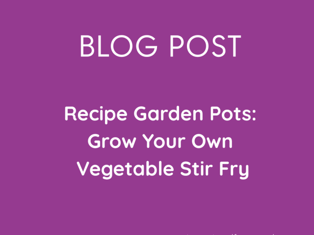 Recipe Garden Pots: Grow Your Own Vegetable Stir Fry