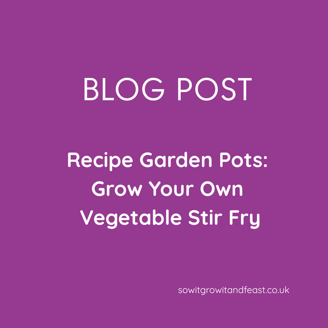 Recipe Garden Pots: Grow Your Own Vegetable Stir Fry