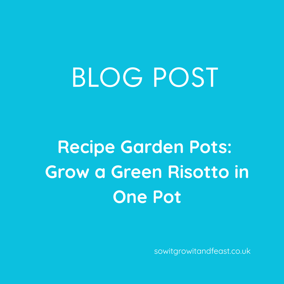 Recipe Garden Pots: Grow a Green Risotto in One Pot